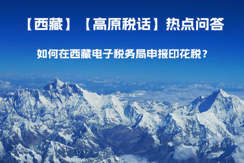 如何在西藏自治區(qū)電子稅務(wù)局申報印花稅？