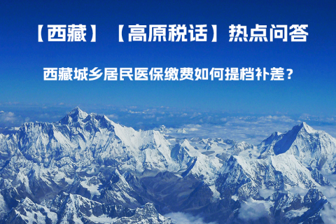 西藏城鄉(xiāng)居民醫(yī)保繳費(fèi)如何提檔補(bǔ)差？