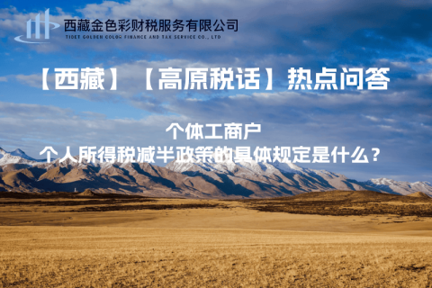 個體工商戶個人所得稅減半政策的具體規(guī)定是什么？